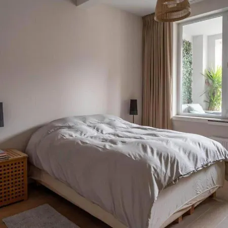 Urban Oasis With Free Parking Apartment